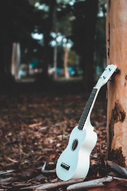 Foto guitarra por árvore na floresta