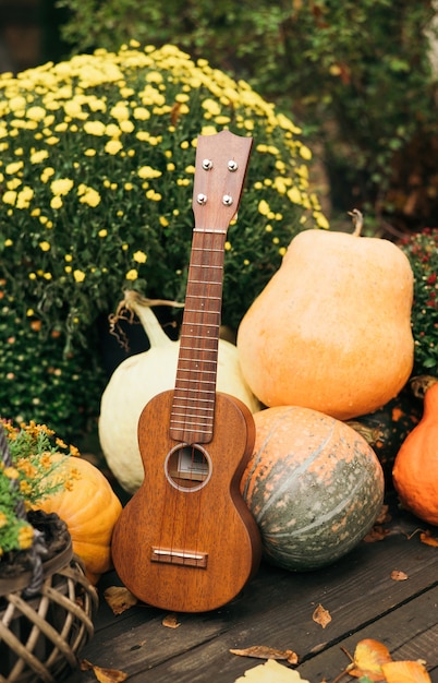 Guitarra de ukelele, cosecha de otoño y flores.