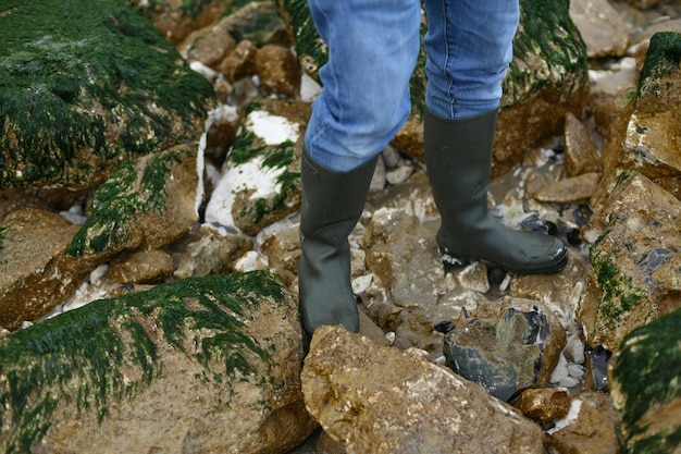 Gummistiefel auf Steinen mit Algen im Ozean