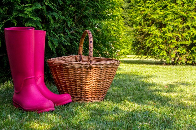 Gummistiefel und Weidenkorb stehen auf Lichtung im sonnigen Sommerwald.