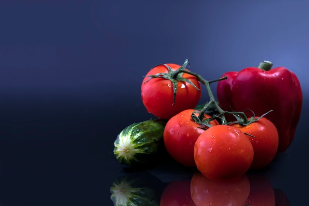 Gurke, Tomaten auf einem Ast und roter Pfeffer mit Wassertropfen und Reflexion.