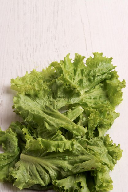 Gurken Salat Zutat Ernte frischer Kräutersalat Garten Sommer Bio-Kräuterbau frisches Blatt