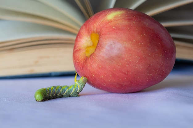 Gusanos y manzanas en retro borrosa un fondo de libro