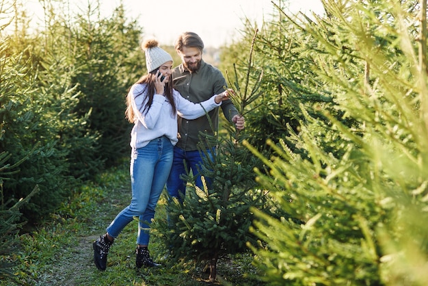 Gut aussehende zufriedene junge Paare genießen ihren Tannenbaum, der während der Vorbereitung auf die Ferien in der Forstwirtschaft ausgewählt wurde.