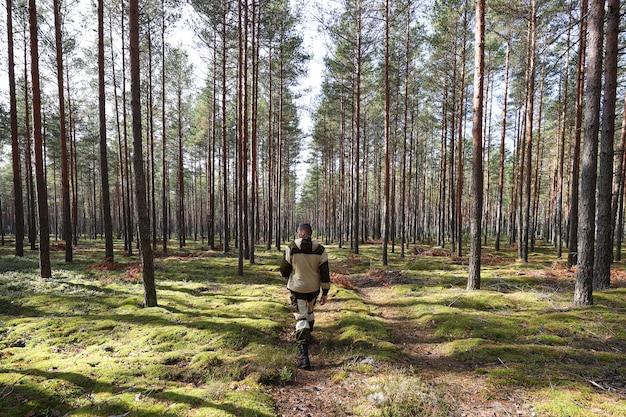 Guy camina por el bosque en un día soleado