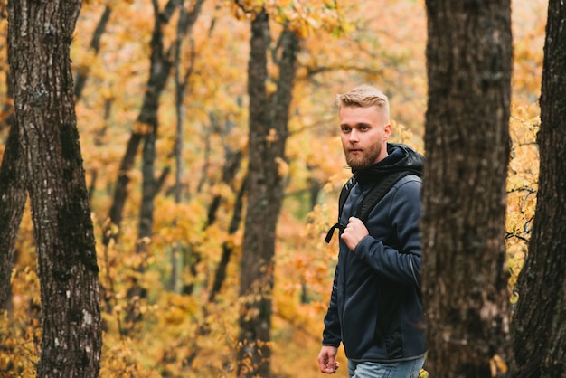 Guy Tourist geht in einem nebligen Herbstwald spazieren