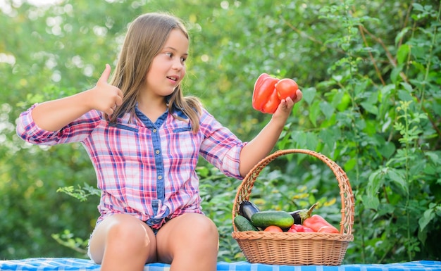 GVO-frei Öko-Landwirtschaft Mädchen niedlich lächelndes Kind, das ein gesundes Leben führt Gesunder Lebensstil Kind sammelt Gemüse Naturhintergrund Gesundes einheimisches Lebensmittelkonzept Essen Sie gesund Sommererntekonzept