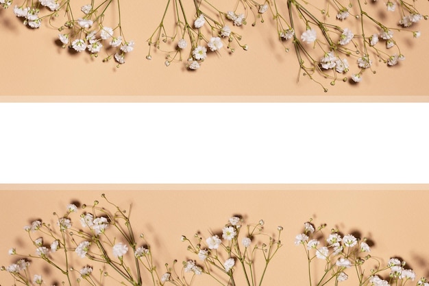 Gypsophila blüht auf einem beige Hintergrundtapetenplatz für Text