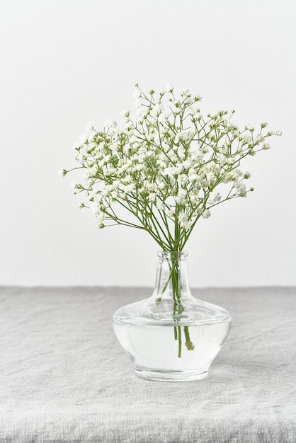 Gypsophila flores en florero de vidrio. Luz suave, minimalismo escandinavo.