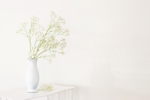 Gypsophila en jarrón blanco sobre estante de madera antigua sobre fondo blanco.