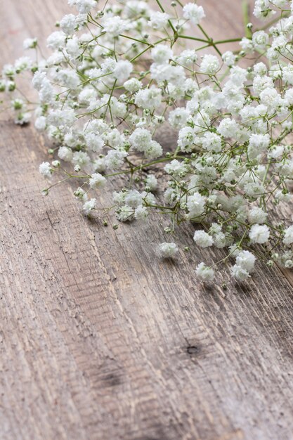 Gypsophila sobre fondo de madera vieja