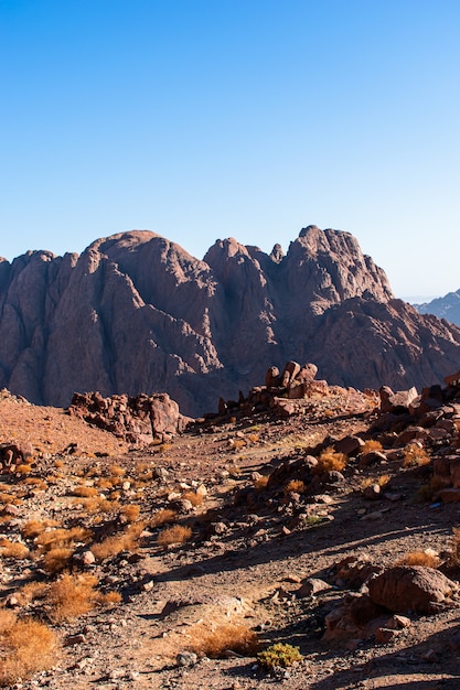 Ägypten, Sinai-Gebirge an einem sonnigen Tag, schöne Landschaft