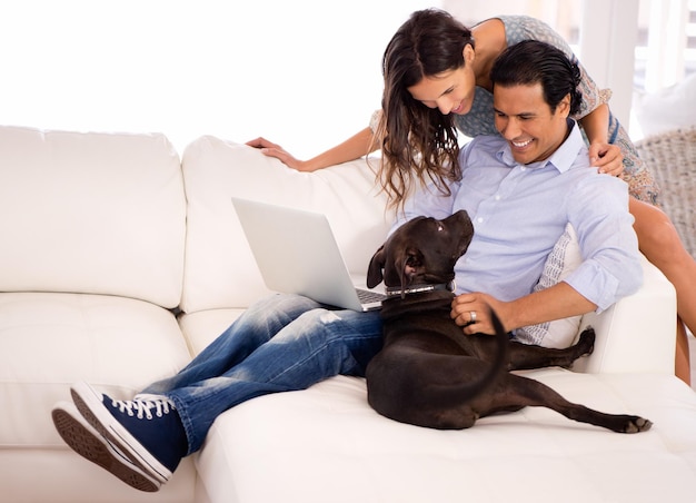 Há amor suficiente para todos Um casal sentado no sofá com um laptop enquanto brinca com seu cachorro