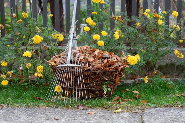 Foto há folhas de outono no cesto no fundo de flores verdes e amarelas