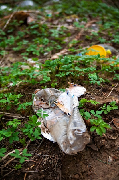 Há muito lixo na floresta O conceito de poluição humana das florestas e da natureza Um terrível depósito na floresta