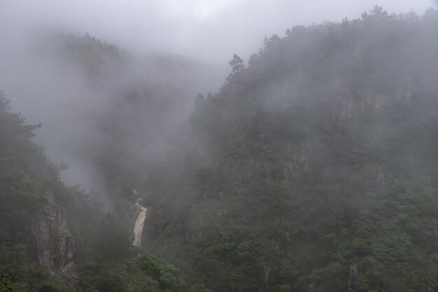 Há neblina na montanha e uma cachoeira