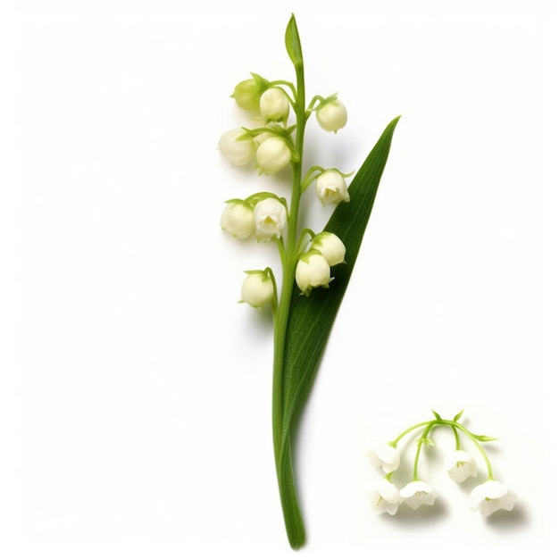 Há uma pequena flor branca que está em uma superfície branca generativa ai.