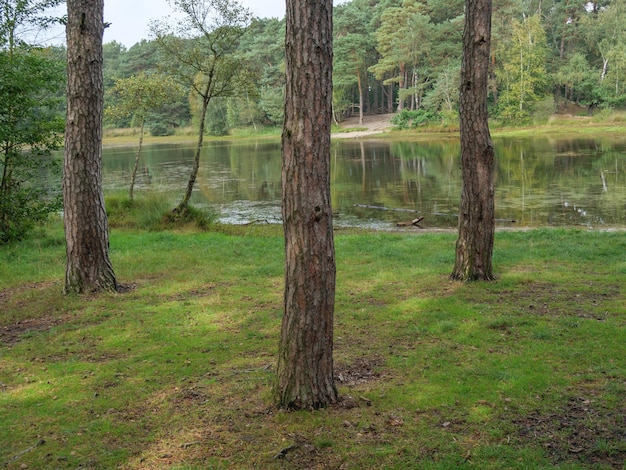 Foto haaksbergen en los países bajos