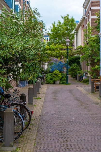 Haarlem Holanda Marzo 2022 plantas decorativas en la calle de la ciudad Pequeña y acogedora calle verde en Haarlem Concepto inclusión social y cambio climático