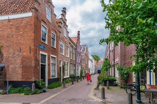 Haarlem Holanda Marzo 2022 plantas decorativas en la calle de la ciudad Pequeña y acogedora calle verde en Haarlem Concepto inclusión social y cambio climático