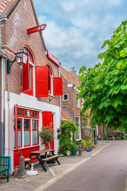 Haarlem, Países Bajos, marzo de 2022 Acogedora casa urbana en Haarlem, Países Bajos, con muchas macetas y una silla delante Concepto de gestión y control de la temperatura o el agua de la ciudad