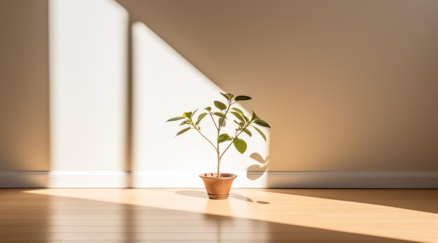 una habitación con una planta a la luz del sol