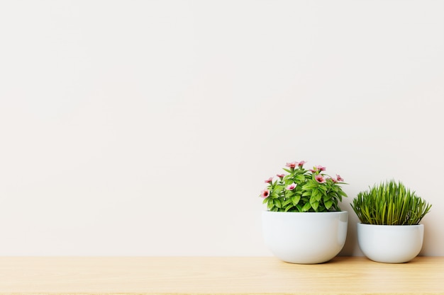 Habitación vacía moderna con plantas en el piso de madera, pared blanca.