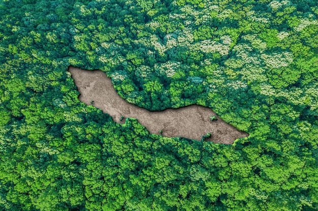 Hábitat sostenible Mapa de Curacao, concepto de medio ambiente