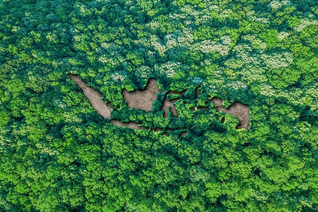 Hábitat sostenible Mapa de Indonesia, concepto de medio ambiente