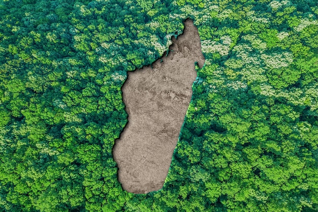 Hábitat sostenible Mapa de Madagascar, concepto de medio ambiente