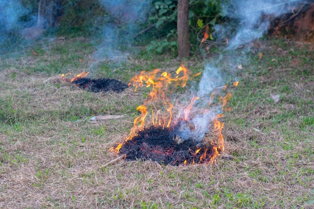 Hacer fuego o quemar hierba seca