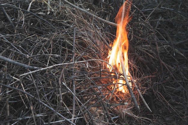 Foto hacer fuego o quemar hierba seca