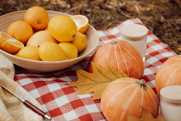 Hacer un picnic al aire libre en el cálido parque de otoño