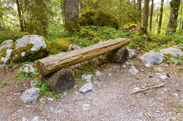 Foto hacer senderismo en austria