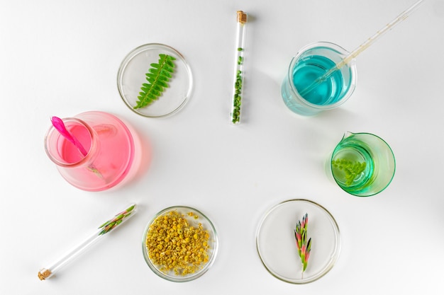 Foto hacer suplemento dietético a base de hierbas en laboratorio con hojas de plantas. concepto de salud y belleza