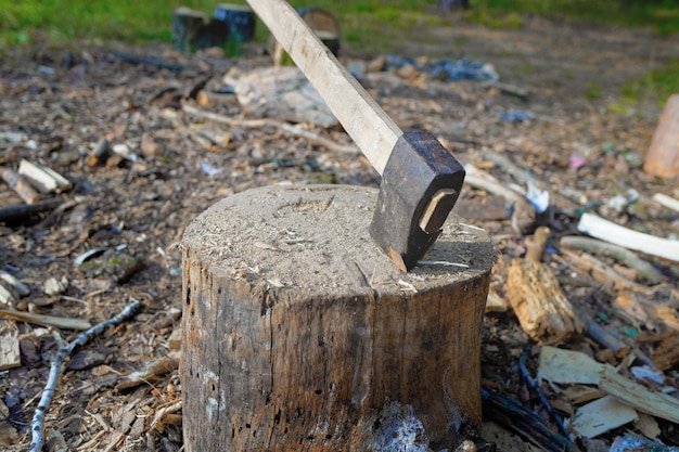 Un hacha en un calzo Cosecha de madera en el bosque