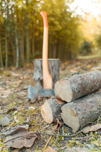 Hacha de leñador con fondo de otoño de madera de pino