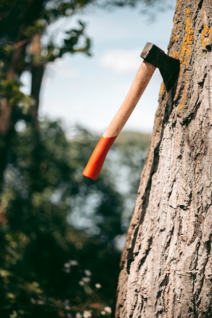 Hacha con mango de madera roja atascada en un árbol