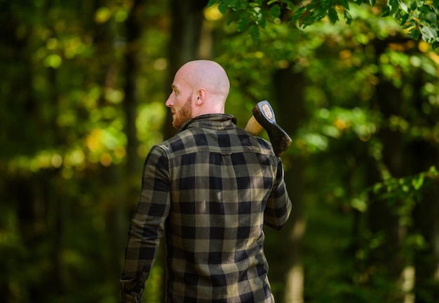 Hacha de transporte de leñador. trabajador leñador calvo. vivir en rancho. concepto de masculinidad. árbol de corte hipster barbudo. camisa a cuadros de hombre usa hacha. macho brutal y atractivo en el bosque. poder y fuerza.