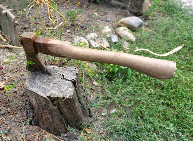 El hacha vieja en el tajo