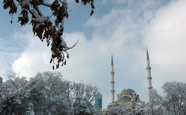 Haciveyiszade-Moschee in Konya Türkei