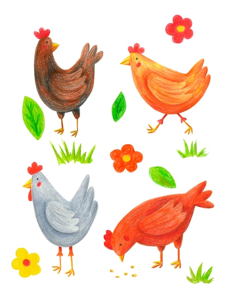 Hähnchen-Clip-Art-Set isoliert auf weiß. Handgezeichnet mit Farbstiften Küken, Blumen, Blätter, Gras