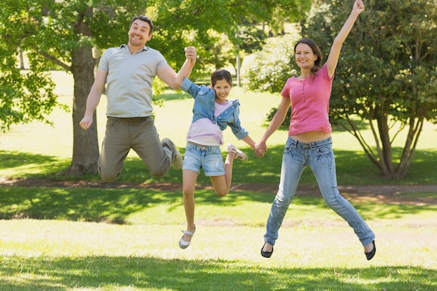 Händchenhalten der dreiköpfigen Familie und Springen am Park