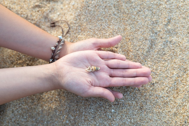 Hände auf dem Sand mit kleiner Muschel