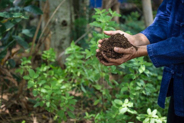 Hände des Landwirts wachsenden und ernährenden Baum, der auf fruchtbarem Boden wächst.