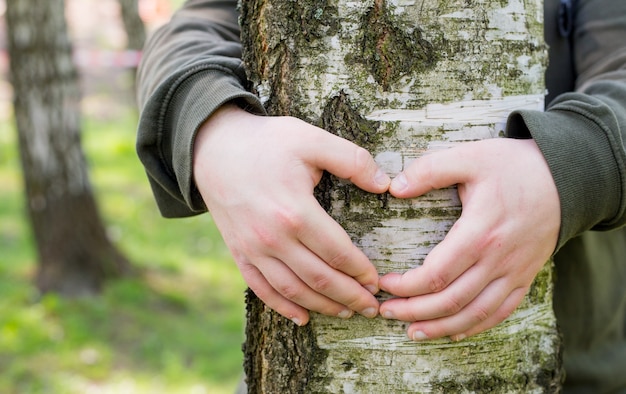 Hände, die eine Herzform um einen großen Baum bilden. Mann, der einen großen Baum umarmt, Naturkonzept liebt oder schützt