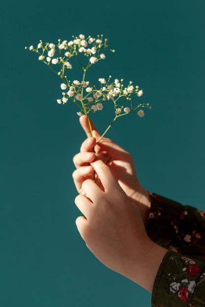 Hände, die Frühlingsblumen halten