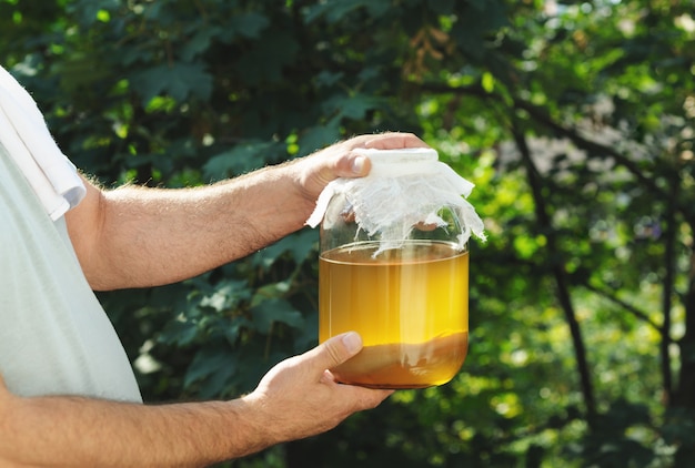 Foto hände, die kombucha-pilz halten.