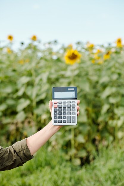 Hände eines älteren männlichen Landwirts in Arbeitskleidung, der am Sommertag einen Taschenrechner mit Null auf dem Display gegen grünes Sonnenblumenfeld und Himmel hält