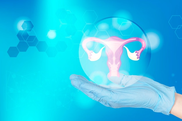 Hände eines Arztes in Handschuhen halten das Uterus-Symbol als Symbol der weiblichen reproduktiven Gesundheit